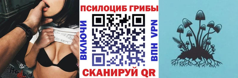 Галлюциногенные грибы Psilocybe  Купить закладки  Сурск 